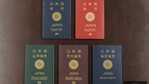 米兰体育官网米兰体育App数据冲到093314引发关注